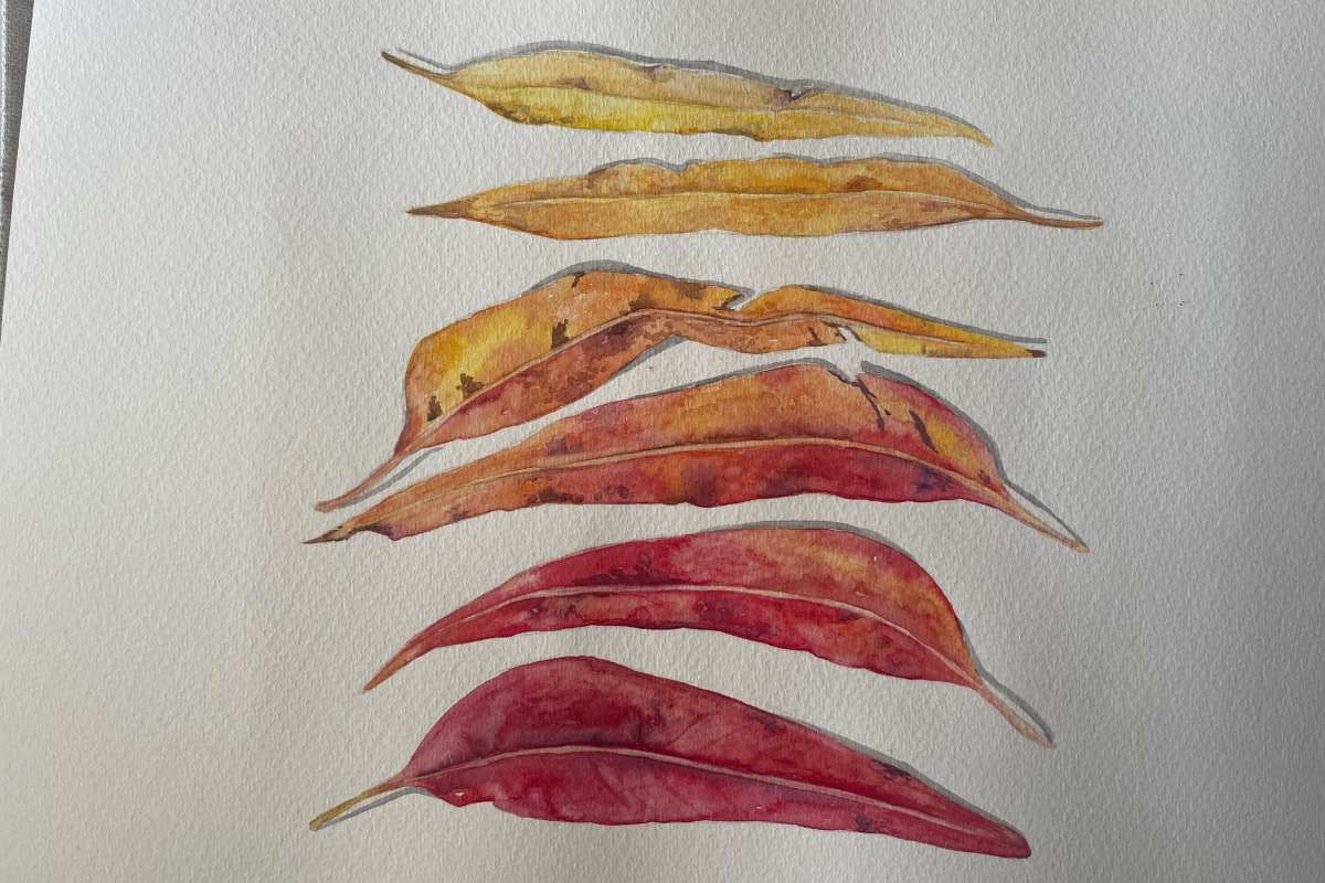 Autumnal Watercolor Workshop with Erna van Dyk